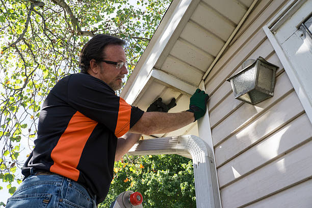 Best Brick Veneer Siding  in Malibu, CA
